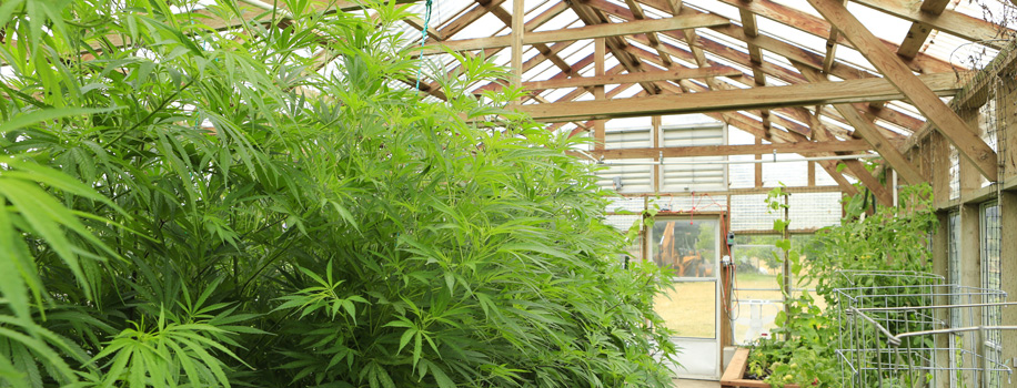 Security Solutions for Apartments in Austin, WI